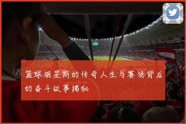 篮球明星斯的传奇人生与赛场背后的奋斗故事揭秘