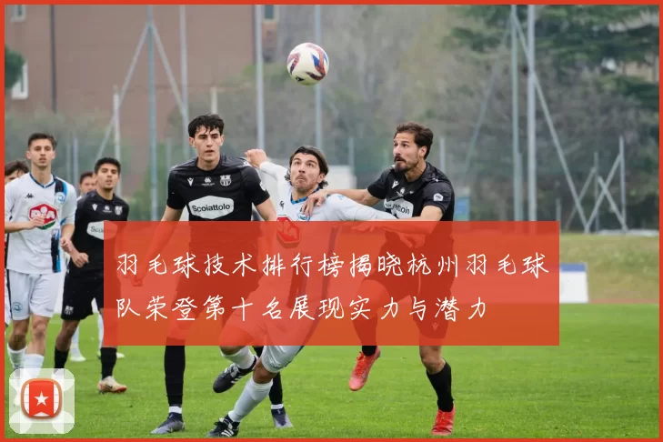 羽毛球技术排行榜揭晓杭州羽毛球队荣登第十名展现实力与潜力