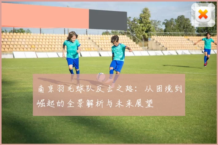 南京羽毛球队反击之路：从困境到崛起的全景解析与未来展望